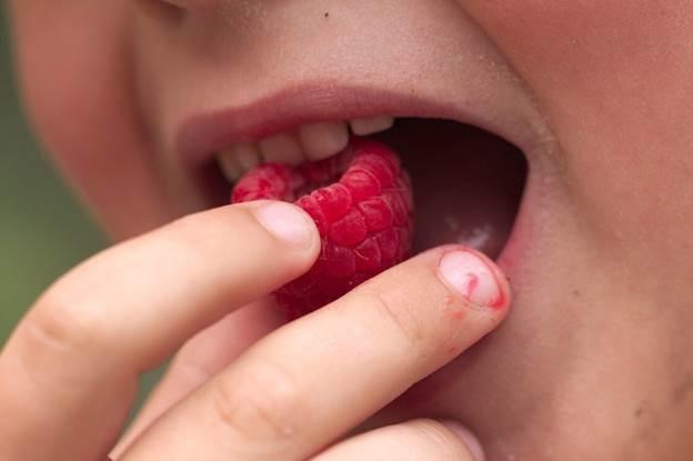 Oral Health